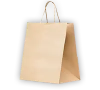 Kraft Paper Bag with Twisted Handle