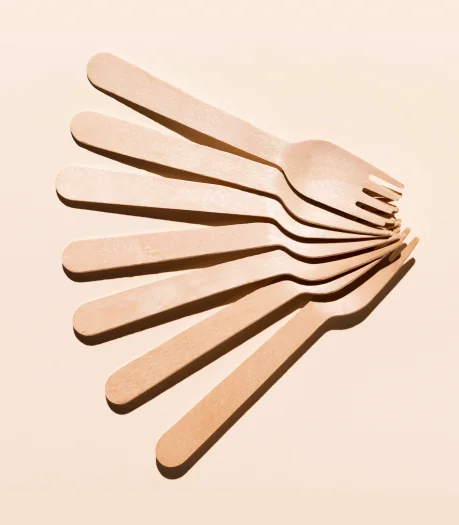 disposable cutlery